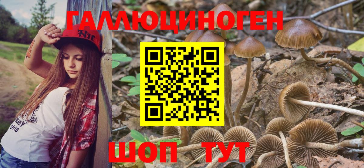 Шадринск  Галлюциногенные грибы Psilocybine cubensis  Галлюциногенные грибы мухоморы  Вход с VPN 