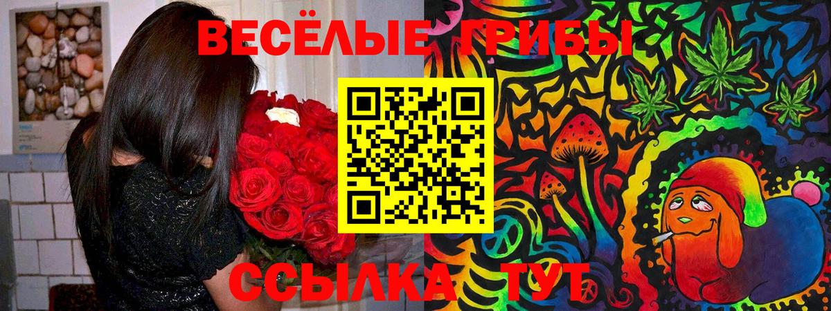 Псилоцибиновые грибы прущие грибы Шадринск