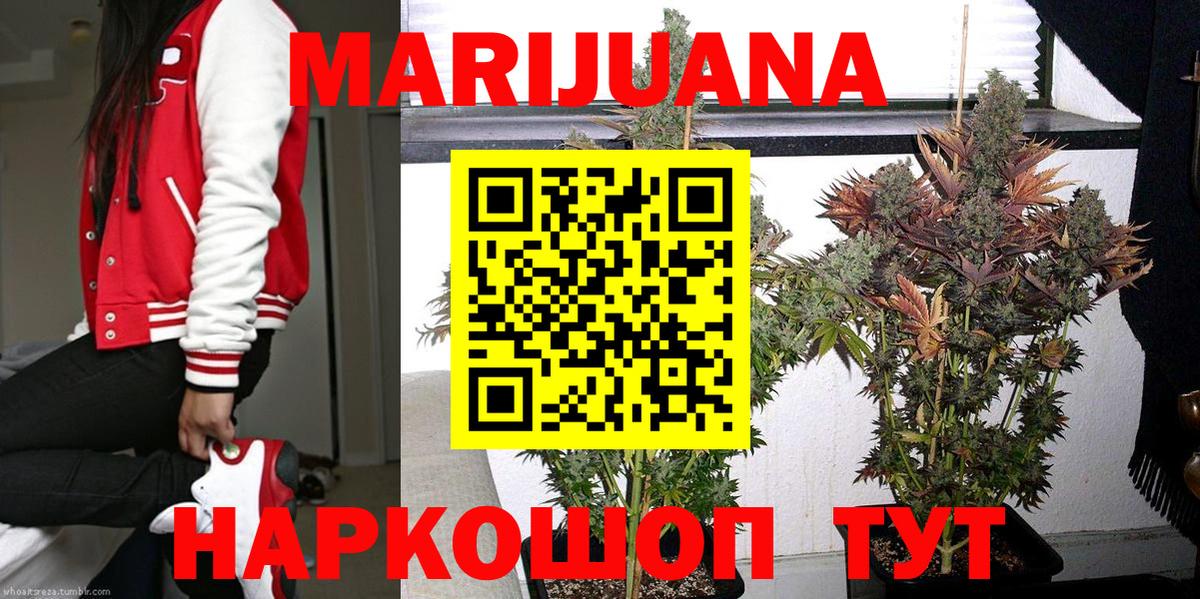 Бошки марихуана OG Kush Шадринск